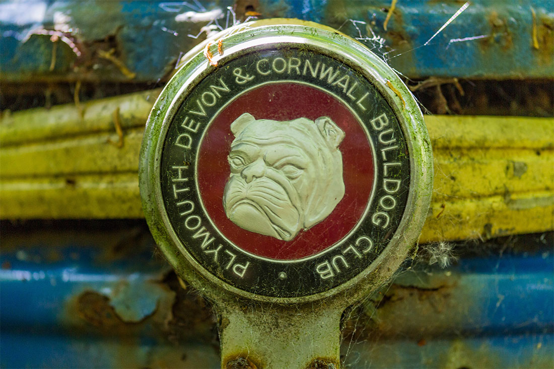 Plymouth Bulldogge, früher waren die Embleme noch ausdrucksstark