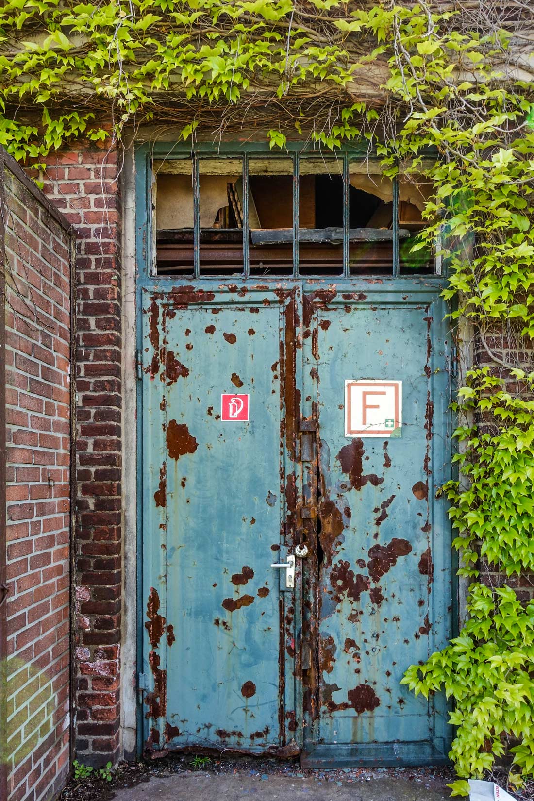 Bewachsende Tür auf der Zeche Niederberg in Neukirchen-Vluyn